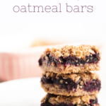 Blueberry Oatmeal Bars