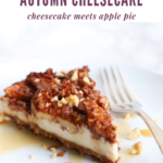 vegan autumn cheesecake