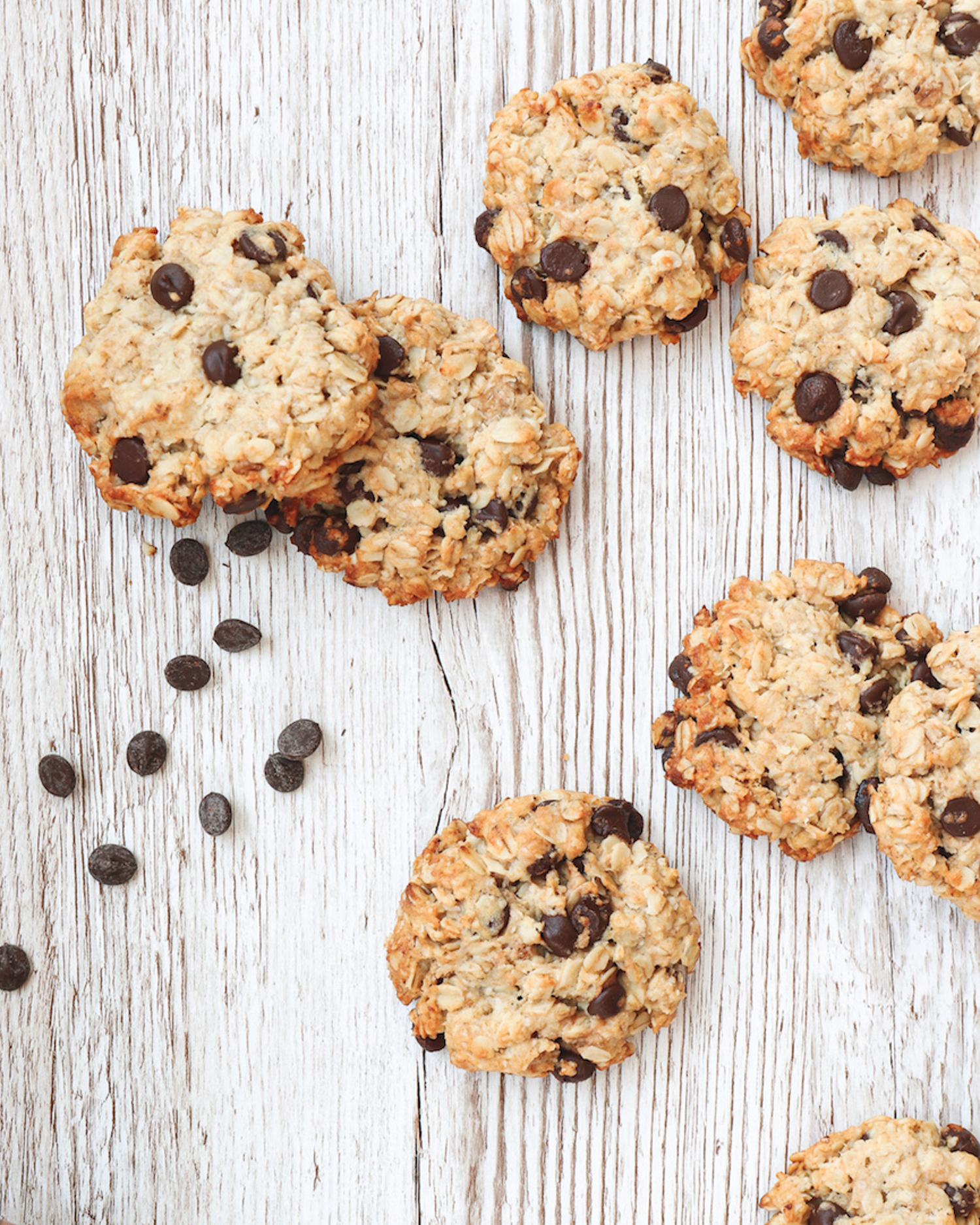 Vegan Chocolate Oatmeal Cookies