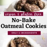 Healthy No-Bake Chocolate Oatmeal Cookies [V+GF]