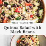 Quinoa Salad with Black Beans