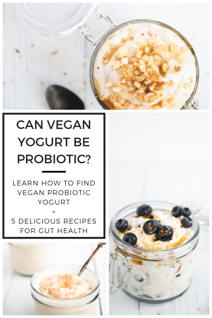vegan yogurt recipes