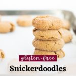 Vegan & Gluten-Free Snickerdoodles