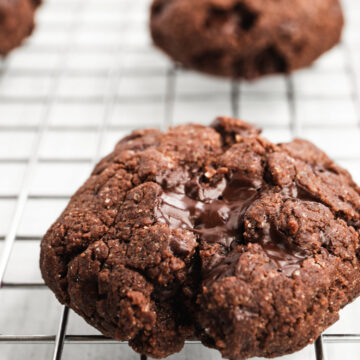 Chickpea Flour Chocolate Cookies [V+GF]