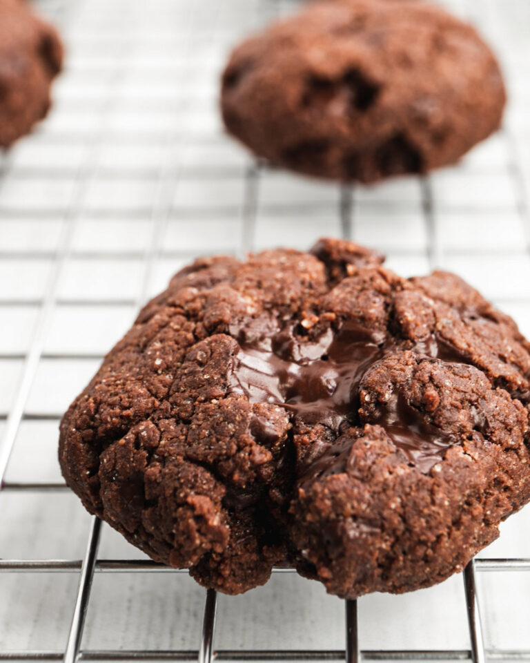 Chickpea Flour Chocolate Cookies [V+GF]