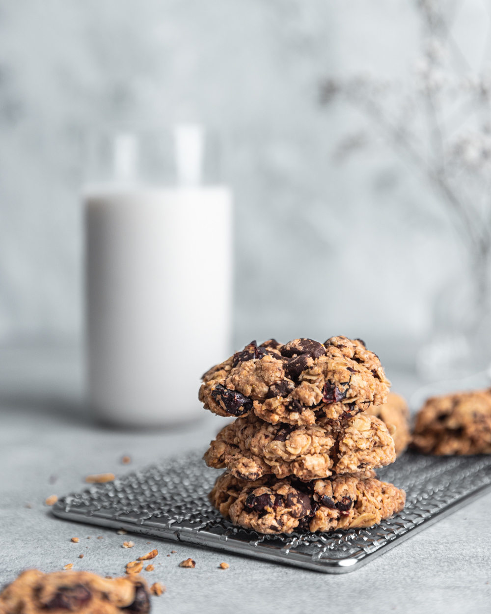 Vegan Cranberry Oatmeal Cookies