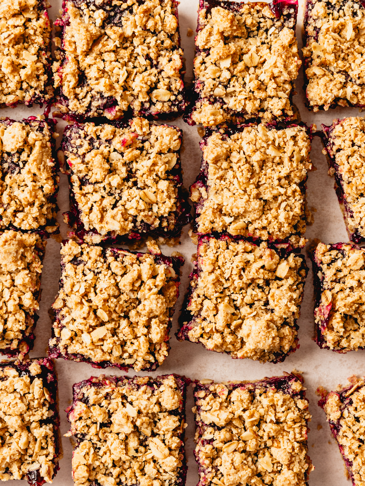 Blueberry Oatmeal Bars