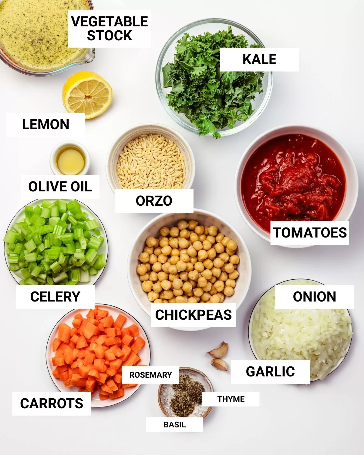 Ingredients for Vegetable Orzo Soup