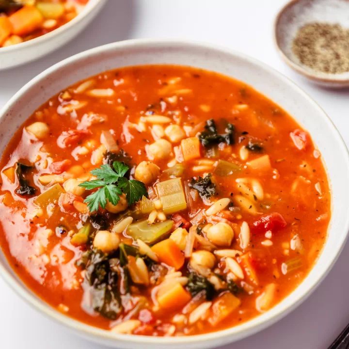 Vegetable Orzo Soup