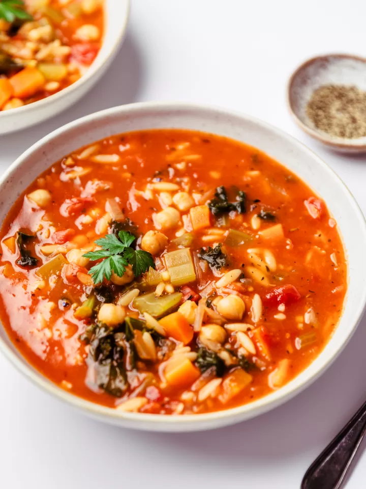 Vegetable Orzo Soup