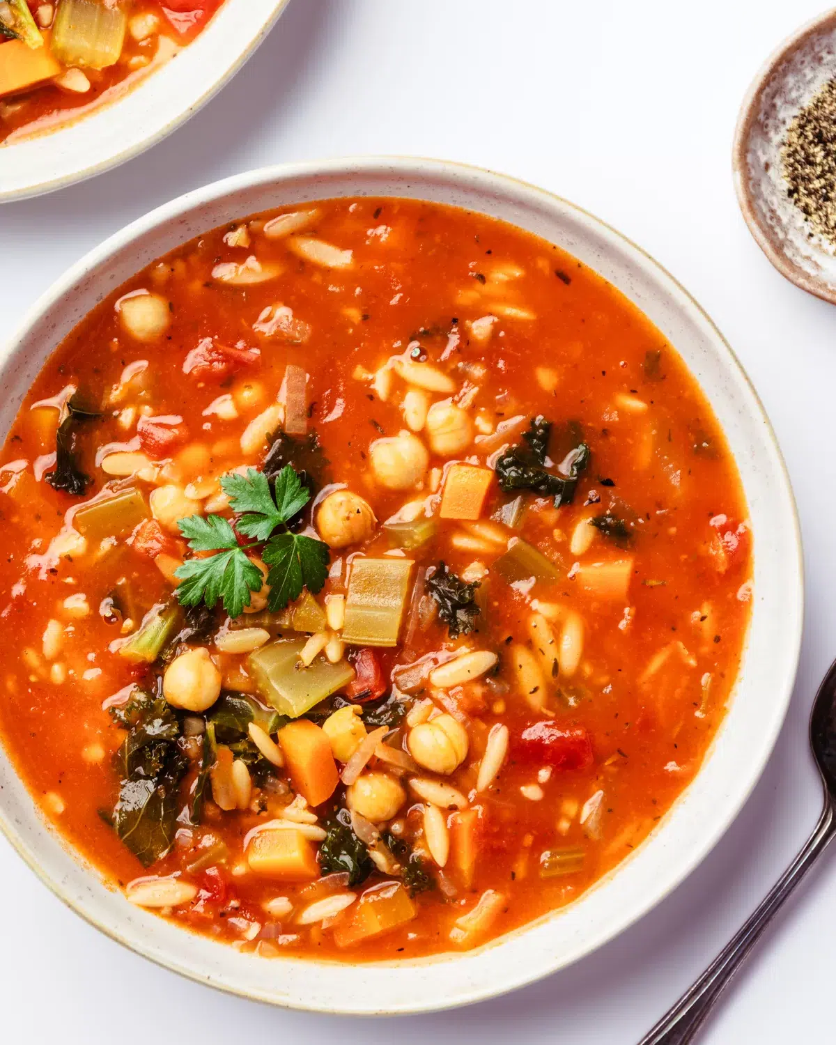 Vegetable Orzo Soup